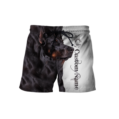 Doberman 3d custom hoodie shirt for men and women DD08292002