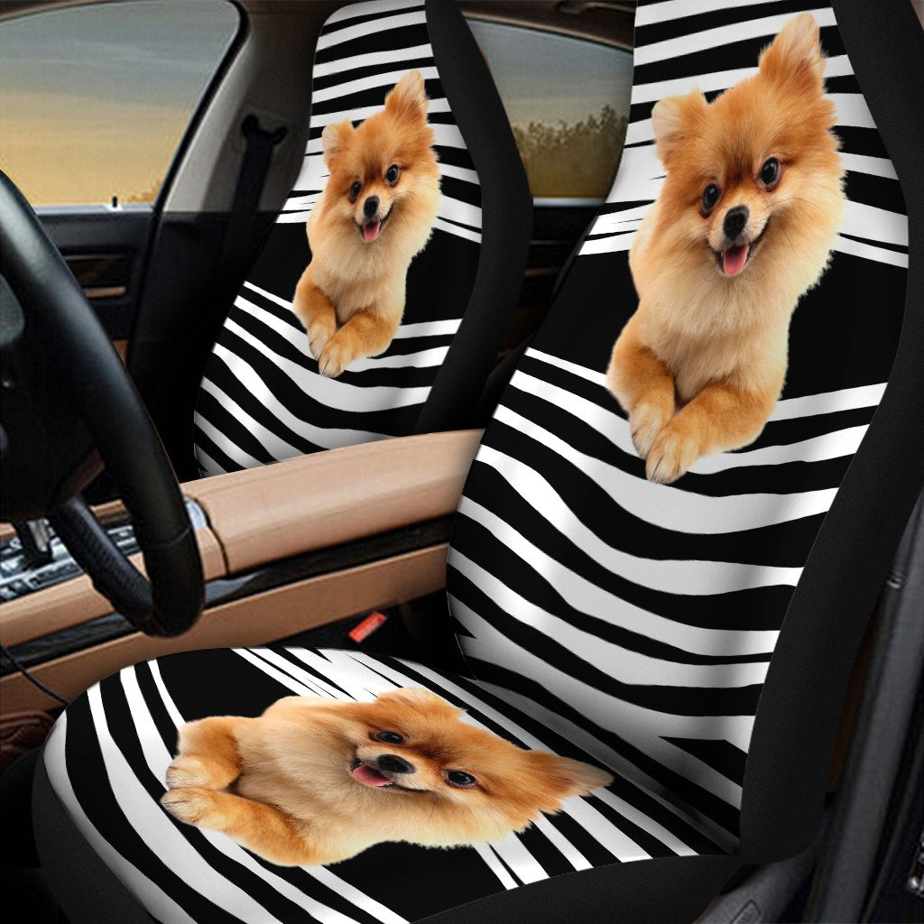 Pomeranian car seat DD09232003