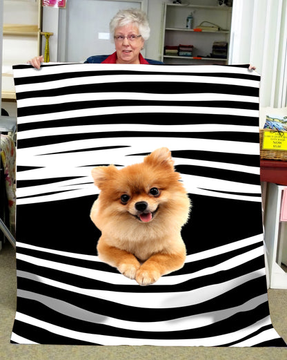 Pomeranian blanket DD09232003