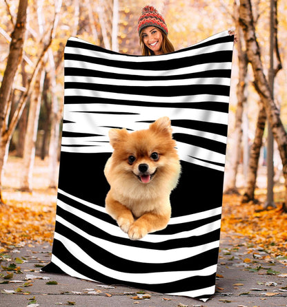 Pomeranian blanket DD09232003
