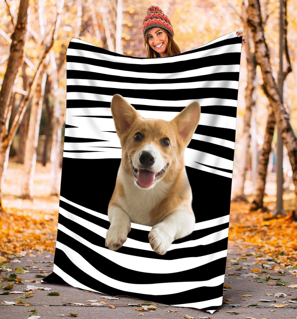 Corgi blanket DD09222001