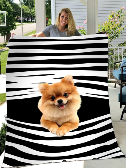 Pomeranian blanket DD09232003