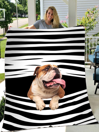 Pitbull blanket DD09232005