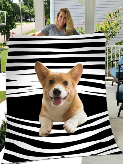 Corgi blanket DD09222001
