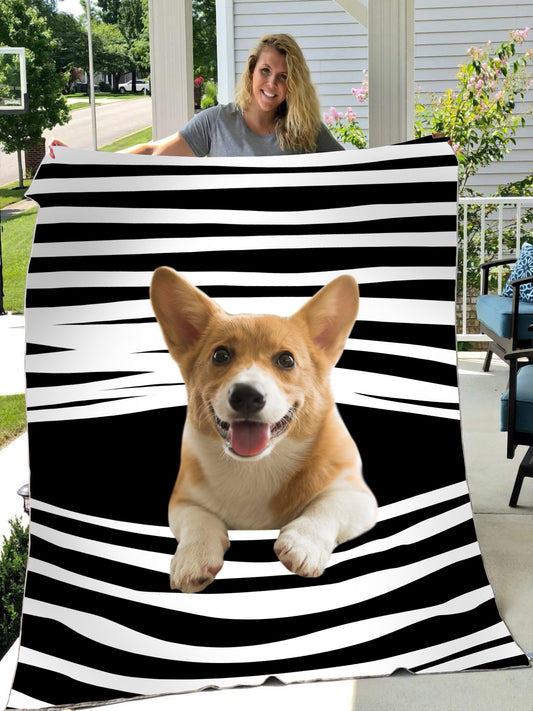 Corgi blanket DD09222001