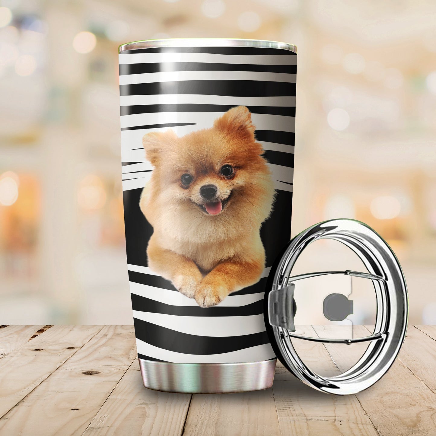 Pomeranian tumber DD09232003
