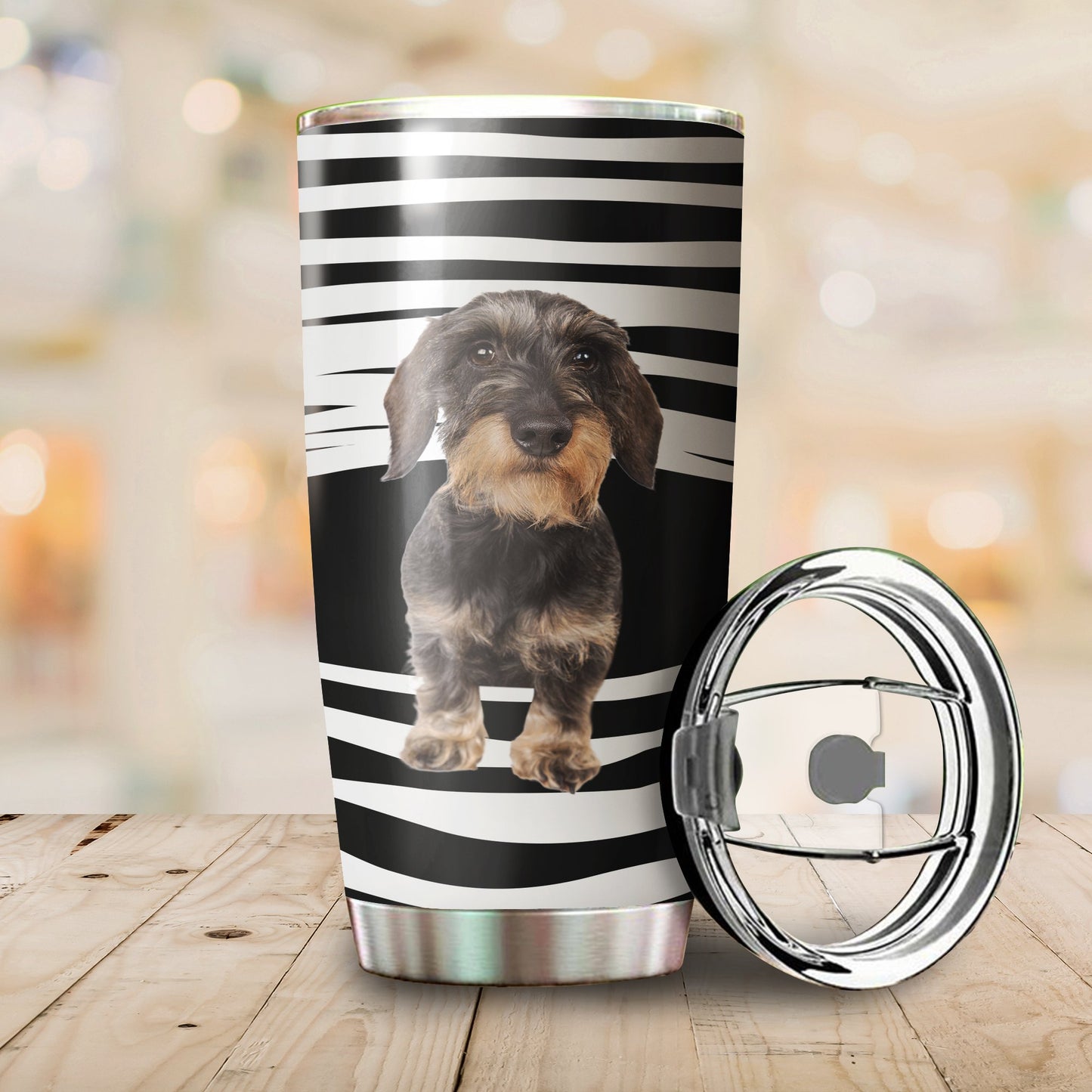 Schnauzer tumber DD09222002