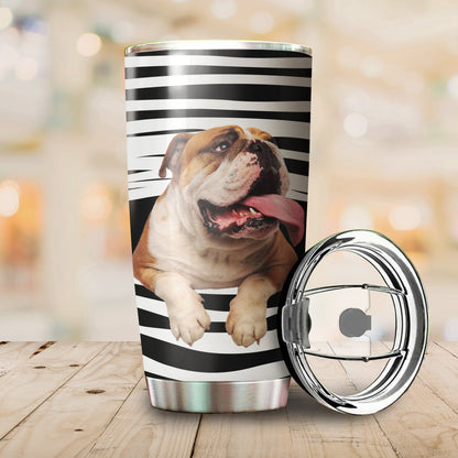 Pitbull tumber DD09232005