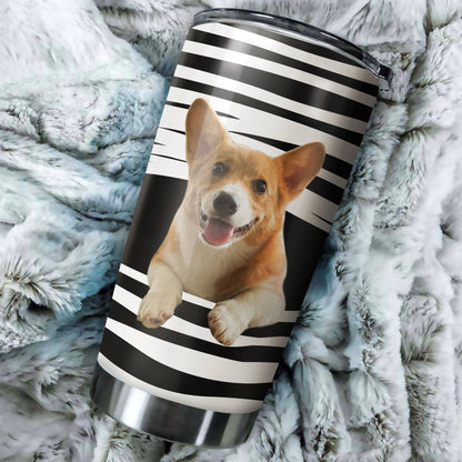 Corgi tumber DD09222001