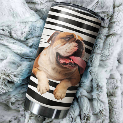 Pitbull tumber DD09232005