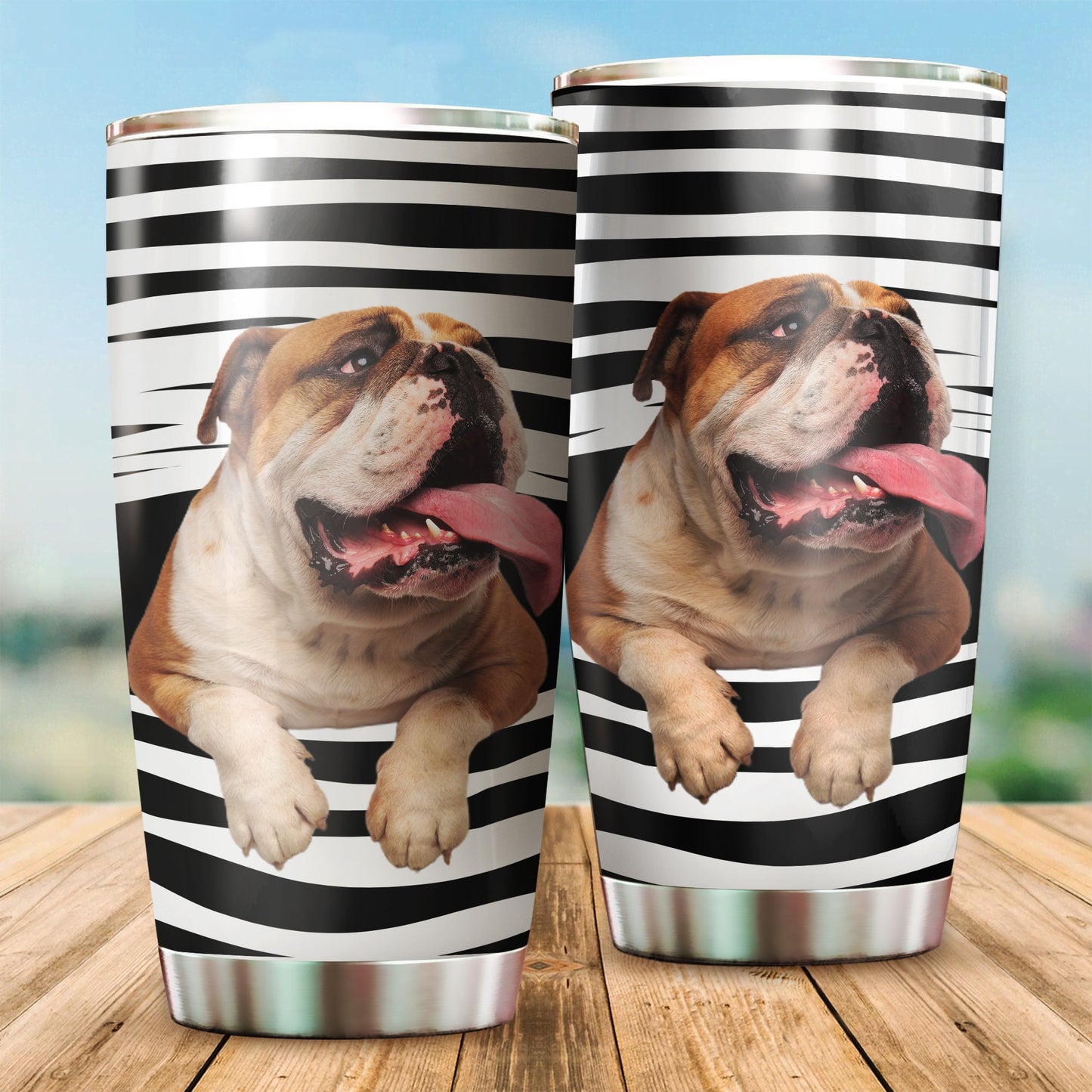 Pitbull tumber DD09232005