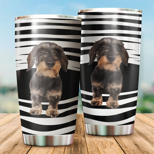 Schnauzer tumber DD09222002