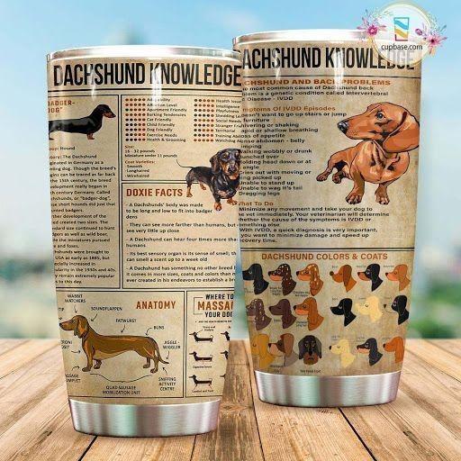 Dachshund Knowledge – Tumbler 20oz TA032802-TA-Vibe Cosy™