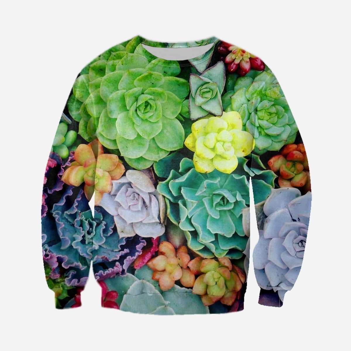 3D All Over Printed Colorful Succulent Shirts-Apparel-HP Arts-Sweatshirt-S-Vibe Cosy™