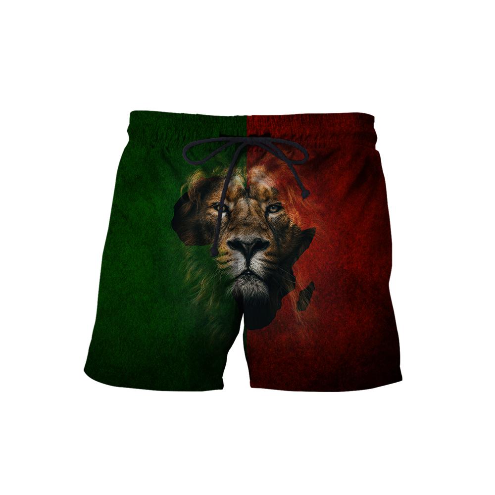 African Lion Power Hoodie-ML