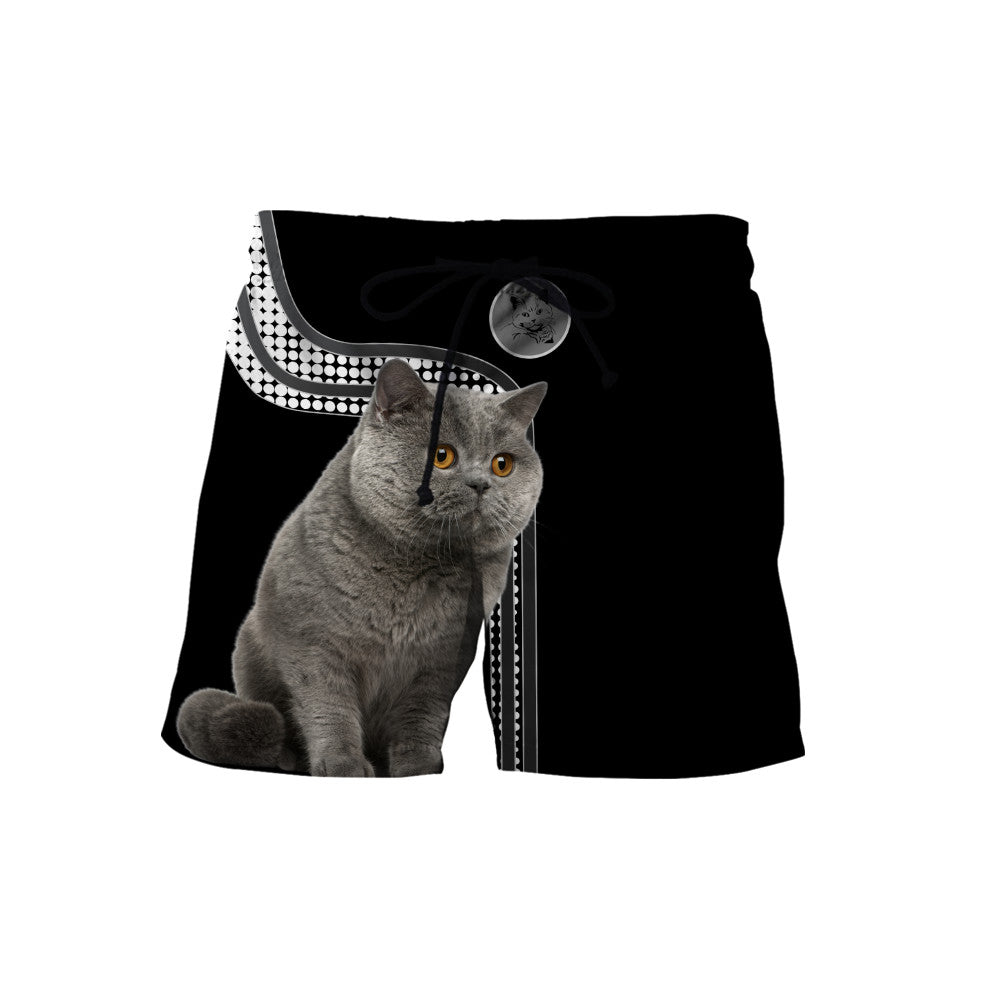 Scottish Fold Shorthair Cat Hoodie For Men And Women TQH201002