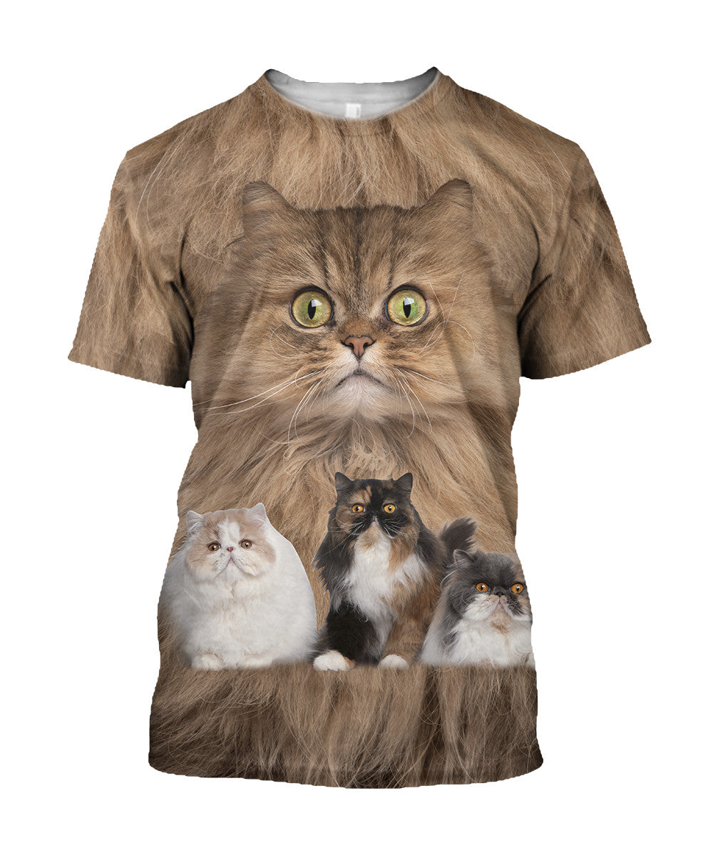 Cute Persian Cats Hoodie For Men And Women JJW08102003