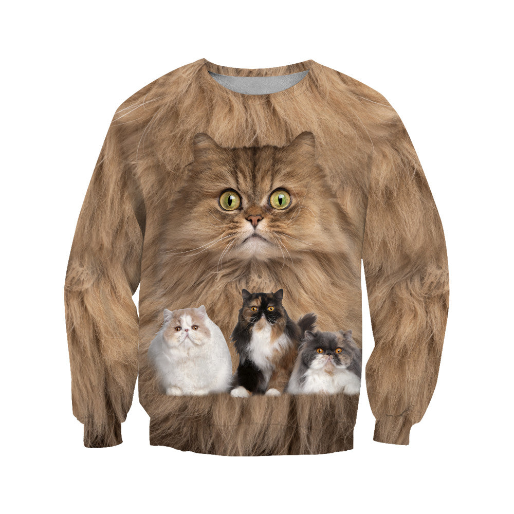 Cute Persian Cats Hoodie For Men And Women JJW08102003
