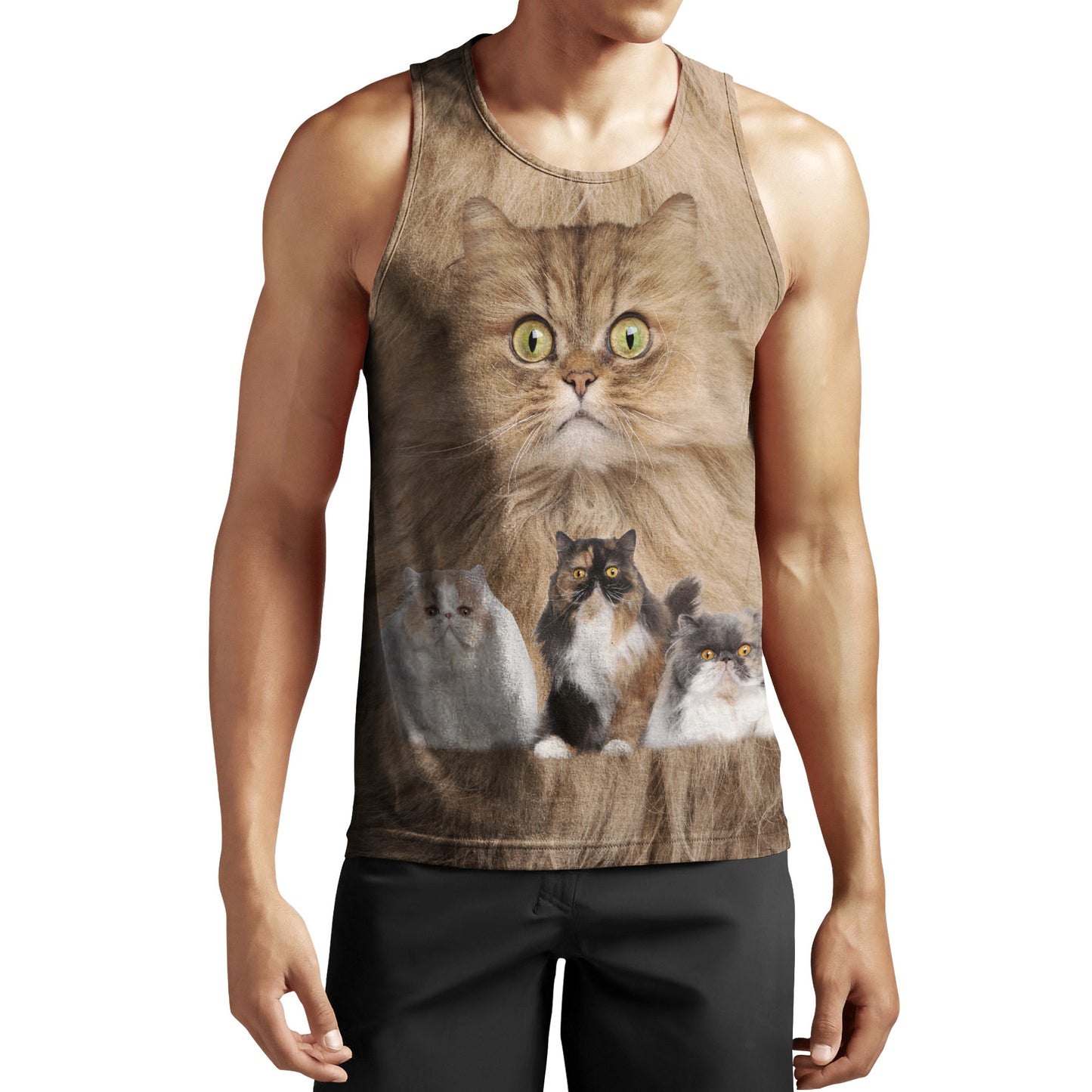 Cute Persian Cats Hoodie For Men And Women JJW08102003