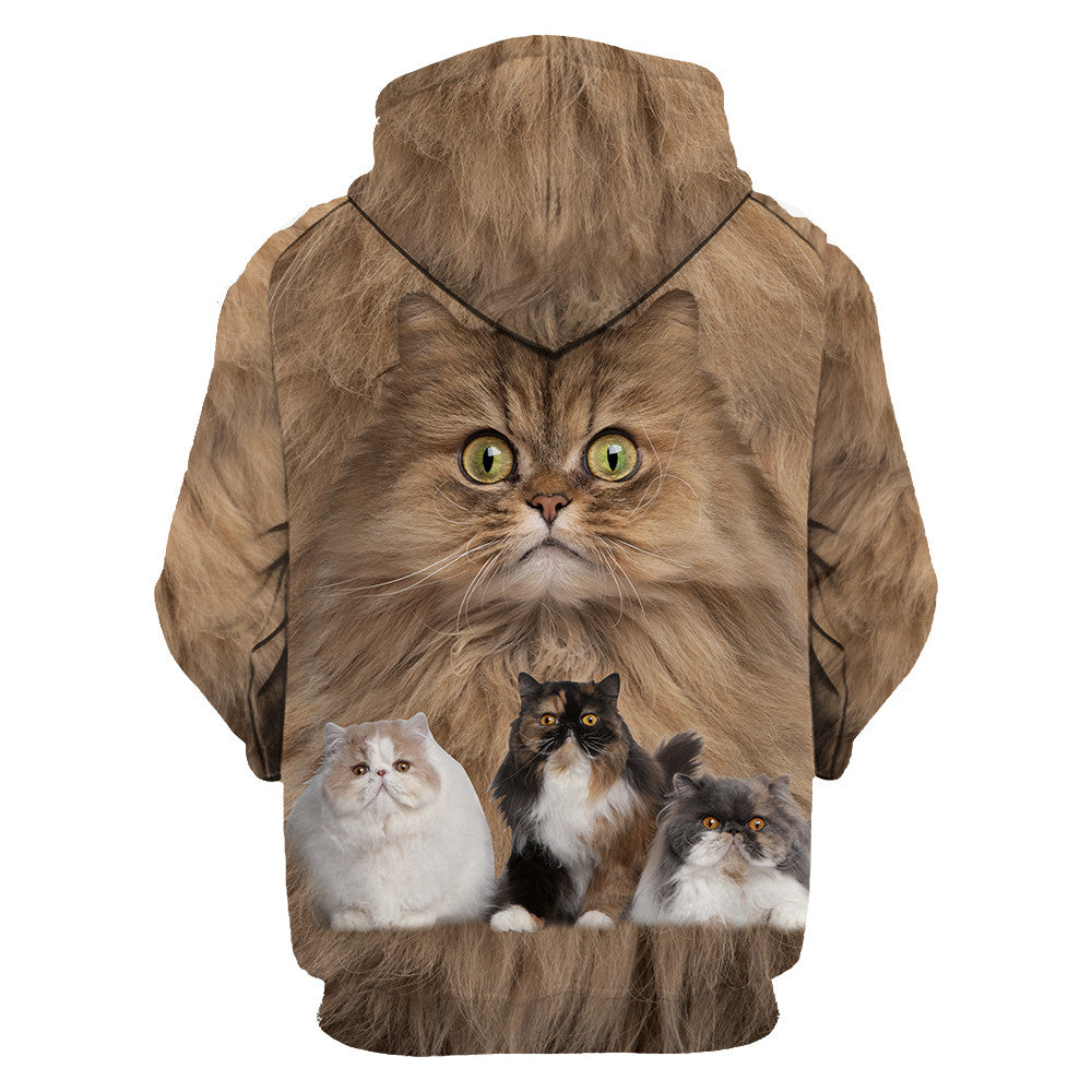 Cute Persian Cats Hoodie For Men And Women JJW08102003