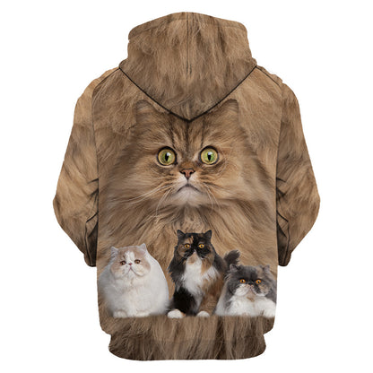 Cute Persian Cats Hoodie For Men And Women JJW08102003