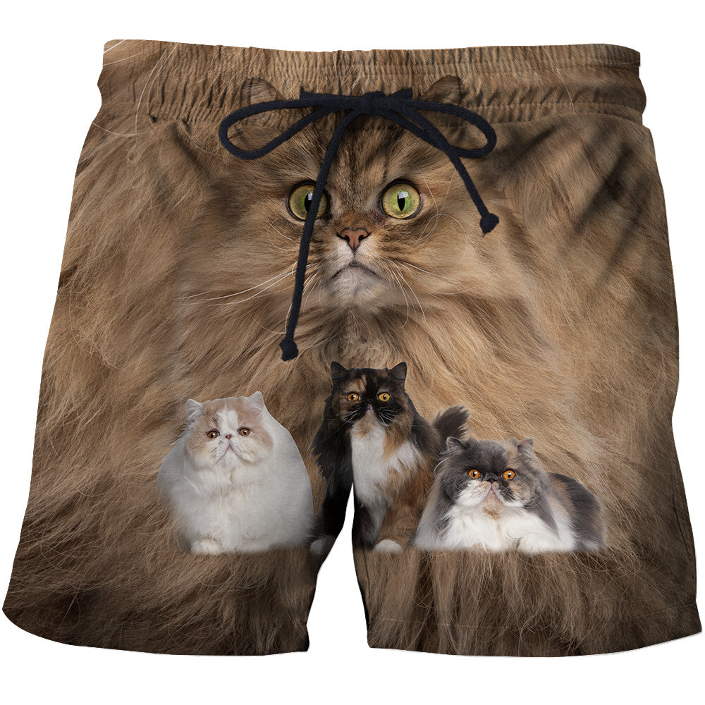 Cute Persian Cats Hoodie For Men And Women JJW08102003
