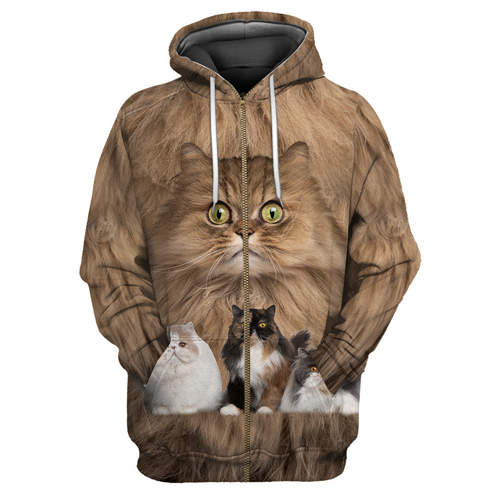 Cute Persian Cats Hoodie For Men And Women JJW08102003