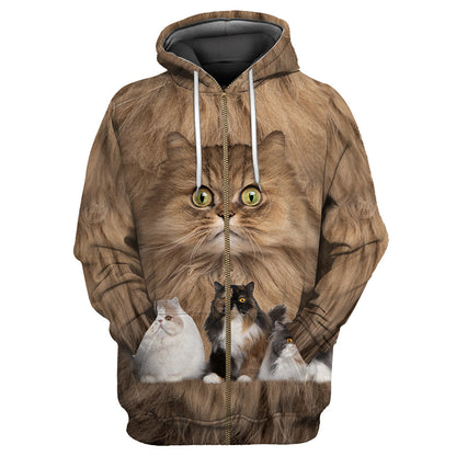 Cute Persian Cats Hoodie For Men And Women JJW08102003