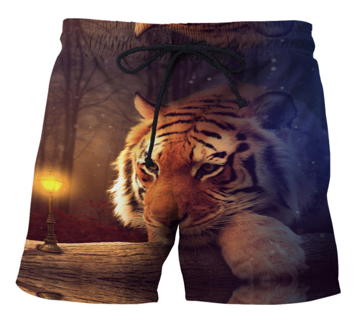 3D All Over Print Tiger Hoodie HVT06112001